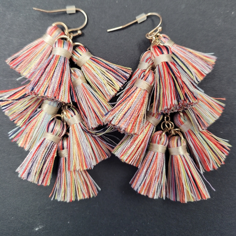 Multicolor Tassel Earrings